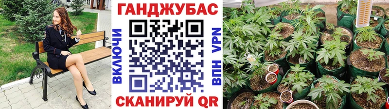 Купить  Белая Холуница  Марихуана LSD WEED 